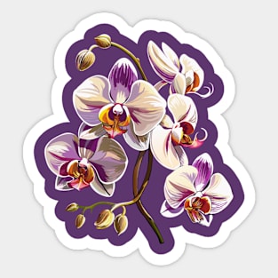 Elegant orchid design Sticker